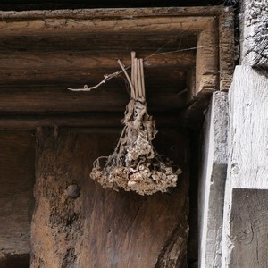 Fleurs séchées suspendues dans un angle de cadre de porte en bois massif - France  - collection de photos clin d'oeil, catégorie clindoeil